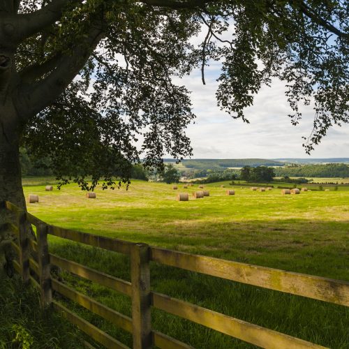 Hay bail landscape, Northumberland National Park, near Hexham, England, United Kingdom, Europe